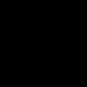 Meet your Posher, Craig